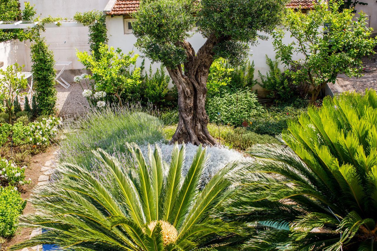 Reggine Holiday Apartments Sant'Agnello Exteriér fotografie