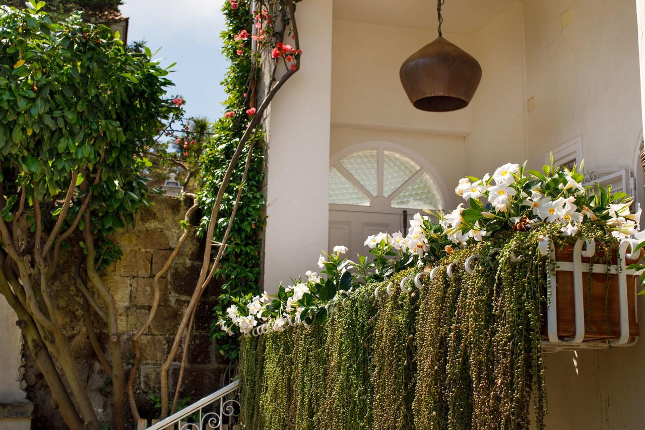 Reggine Holiday Apartments Sant'Agnello Exteriér fotografie