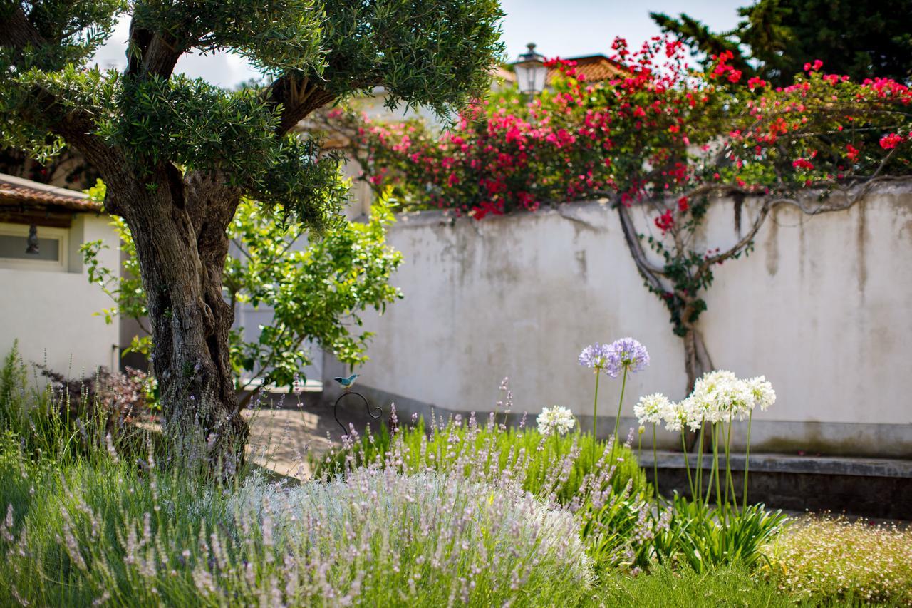 Reggine Holiday Apartments Sant'Agnello Exteriér fotografie
