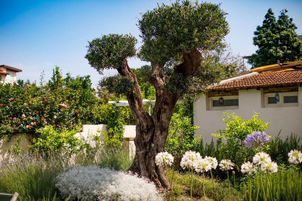 Reggine Holiday Apartments Sant'Agnello Exteriér fotografie